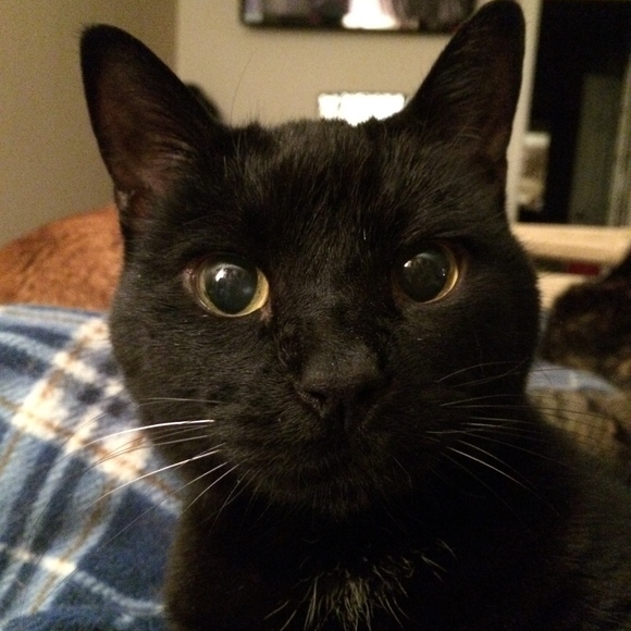 Meet your Posher, TCB - Picture 3 of 6